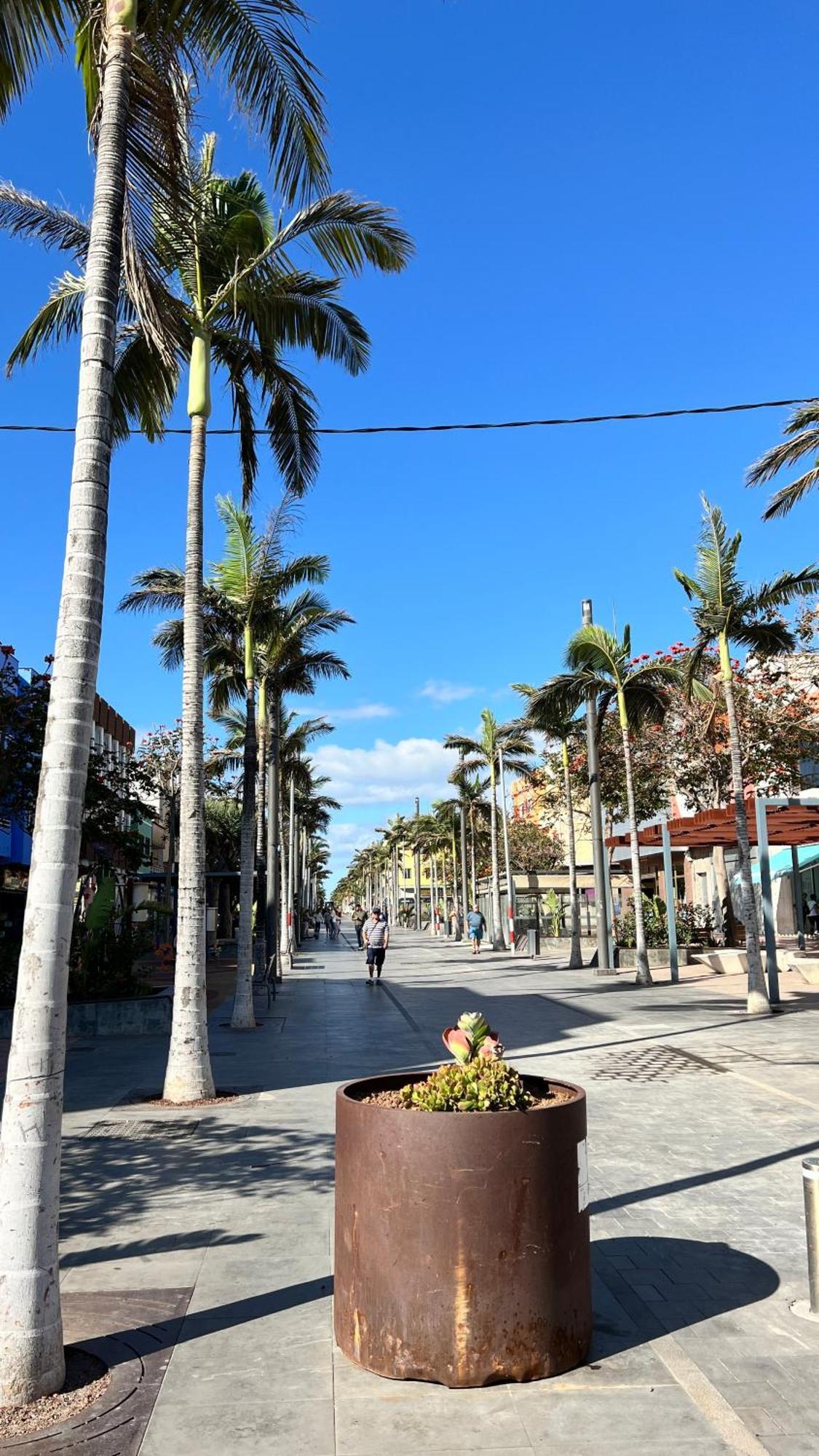 Mirame Canarias Pensión *