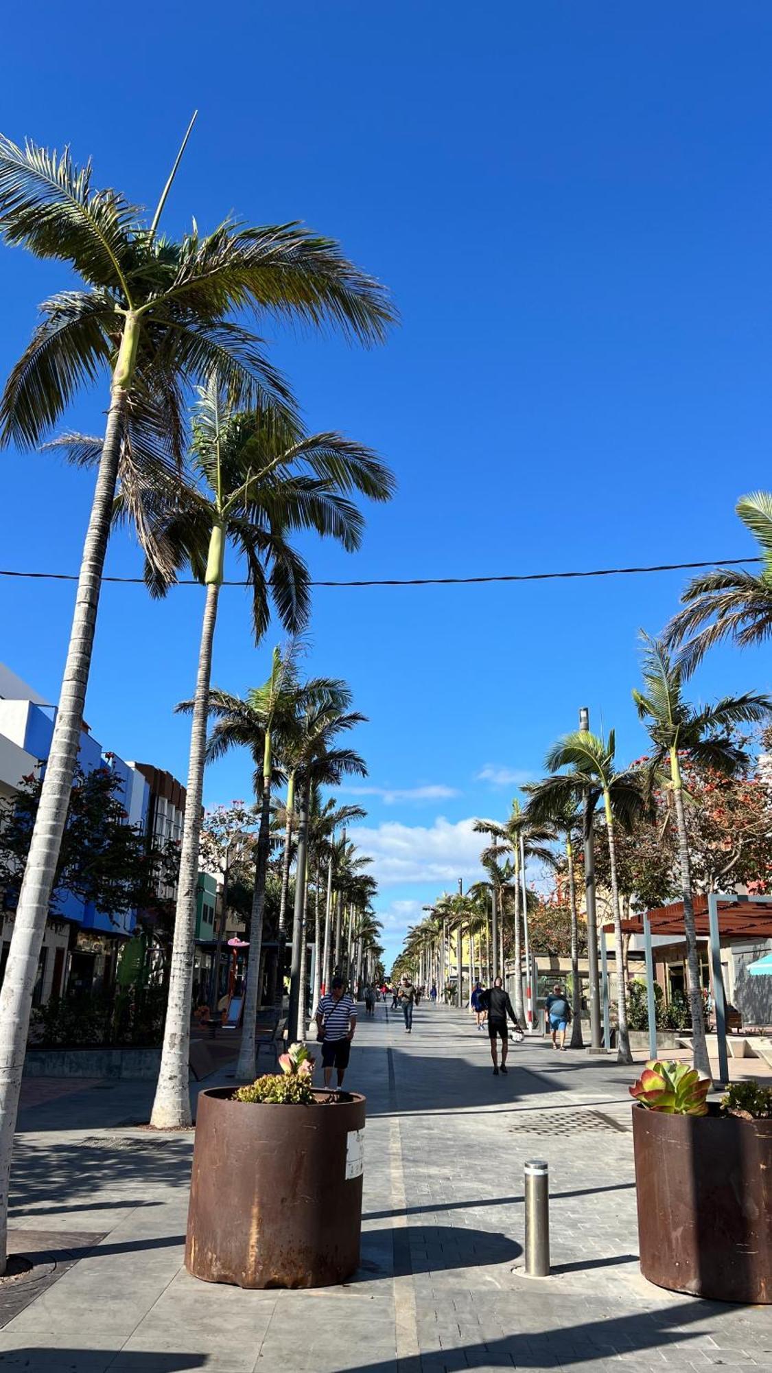 Mirame Canarias
